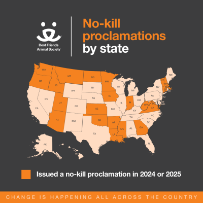 Map of the United States featuring the states with no-kill proclamations